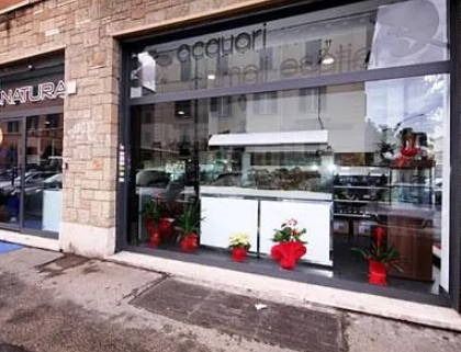 花店名字简洁大气洋气 花店寓意好有财气的名字