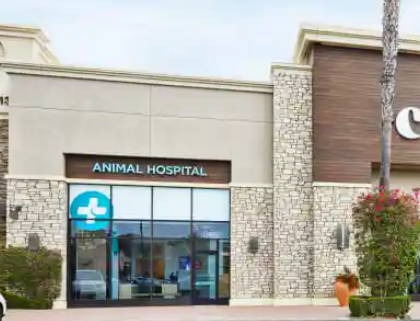 商家起名大全 开店取什么名字生意兴隆