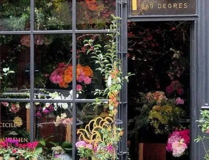 跨境电商店名字大全潮流 跨境店铺名称怎么起