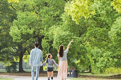 取名属木的字有哪些 属木宝宝适合的名字大全 取名属木的字有哪些 属木宝宝适合的名字大全