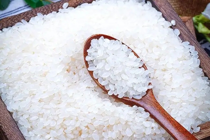 寓意好的大米公司名字大全三个字