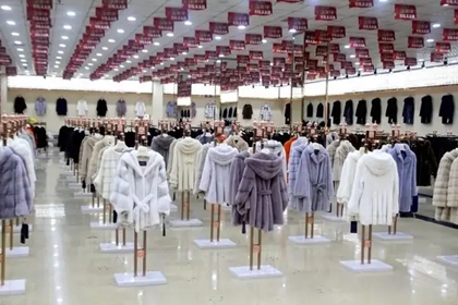 属羊79年健康的店铺名字大全 适合属羊的店名