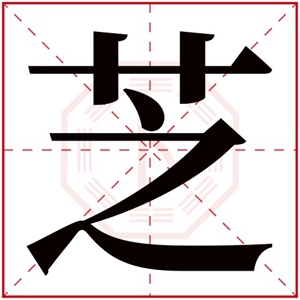 属木的女孩名字带芝字 用芝字取缺木女孩的名字