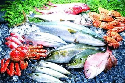 给卖水产店起名大全 卖水产的店名大全