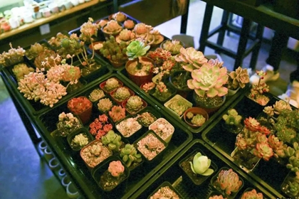 比较有个性的店铺名字 店取名参考