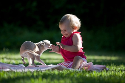 2022年8月27日出生的男孩女孩好名字