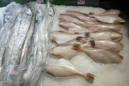 开冷冻店起什么名字好 关于生鲜冷冻的店名