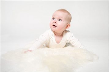 五行属木的字有哪些 属木的字大全集(五行属性属木的字有哪些字)