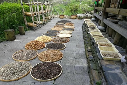 卖山货的店铺起啥名字 卖山货怎么样取店铺名 卖山货的店铺起啥名字 卖山货怎么样取店铺名