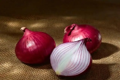 洋葱店铺起名 好听的洋葱店铺名字