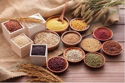 五谷店铺名字 寓意五谷丰收的名字 五谷店铺名字 寓意五谷丰收的名字