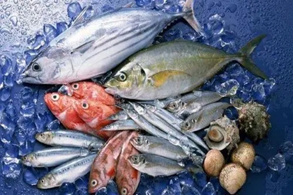 旺生意的水产店名字 旺生意的店铺名字