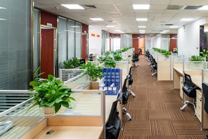 大件运输公司名字大全最新版 大件运输公司有哪些好名