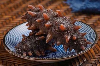 海参店铺起名大全 经营海参取名大全