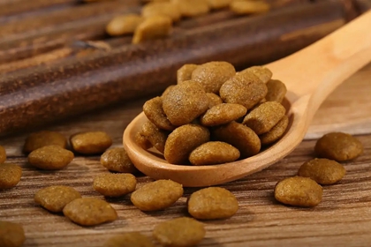 4个字狗粮店铺名字 狗粮品牌起名字