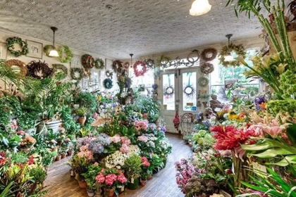 花卉店铺起名 花店取什么名字好