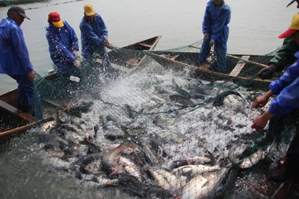 养鱼公司起个名字 渔业公司取名字大全