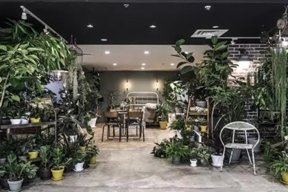 卖绿植店铺起名 卖植物起什么店铺名(开网店卖绿植起什么名字响亮招财)