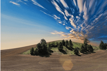 黄历开市是什么意思(黄历宜开市是什么意思)