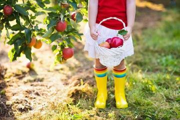 免费大师五格起名法 三才五格满分名字