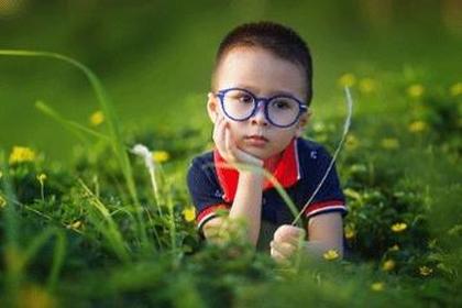 木的名字 五行缺木取名 木的名字 五行缺木取名