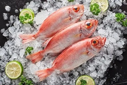 海鲜冻品店名字大全 冻品店铺名字参考