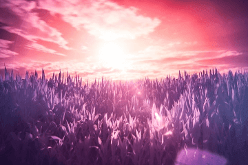 有创意好听早餐店名字大全(创意早餐店名字大全集)