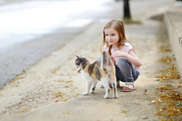 2020年感恩节出生的女孩命好不好 女孩感恩节出生的名字大全