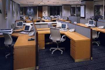 团队名称和激励口号押韵(虎年团队口号押韵洋气)