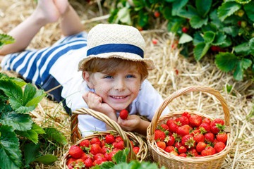 生辰八字起名女孩,有寓意的二胎男宝宝名字大全