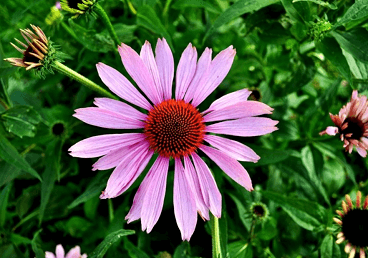 来看看你名字缩写的含义是什么意思(名字缩写zmy)