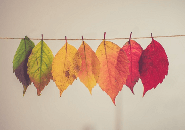 起名三才五格怎么算(三才五格起名法)