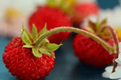 创意水果店名字大全 水果店起什么名字好