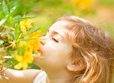 康熙字典27画的字(康熙字典8画的字大全)