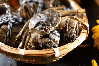 大闸蟹店铺起名 螃蟹店起什么名字好