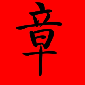 带章字的男孩名字大全 中间带章字的男孩名字