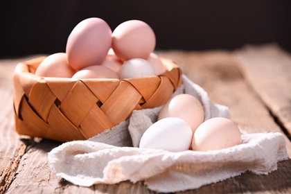 卖鸡蛋店铺名字 鸡蛋店名大全