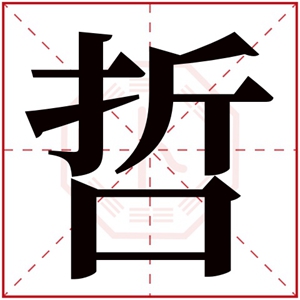 带哲字的男孩名字大全 五行属金带哲字的男孩名字