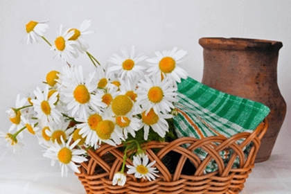 卖花店铺起名 如何给花店取名字