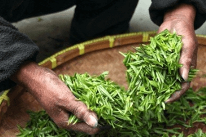 茶叶店铺如何取名 卖茶叶取什么店名字好