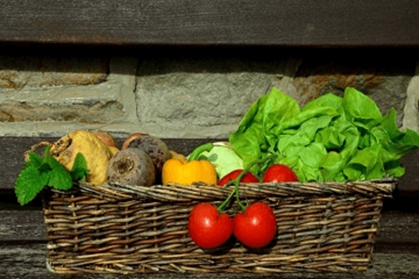 炒菜店起名字大全 炒菜店取什么名字(炒菜店起名字大全)