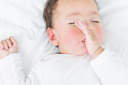 五行取名属木的汉字 五行取名属木的字哪些好 五行取名属木的汉字 五行取名属木的字哪些好