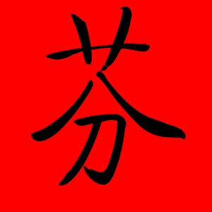 芬字的女孩名字洋气 女孩名字带要芬(带有芬字的女孩名字)