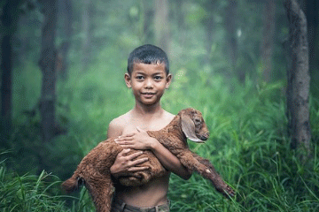 田姓男孩起名免费(姓田男孩名字大全2019)