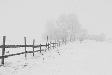 发廊店名高端大气招财大全