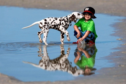 雷姓宝宝起名大全 宝宝姓雷取什么名字