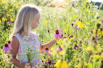 取女孩名用什么字合适(女孩取名字用什么字)