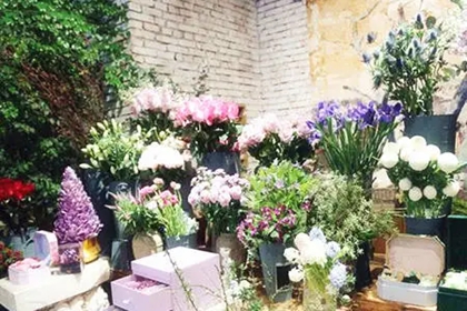 花卉店铺免费起名 关于花卉的店铺名