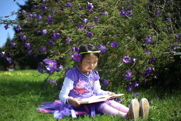 诗经小雅取名女孩(诗经起小名女孩)