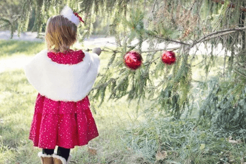 离骚中最唯美的名字女孩(离骚里取名字)